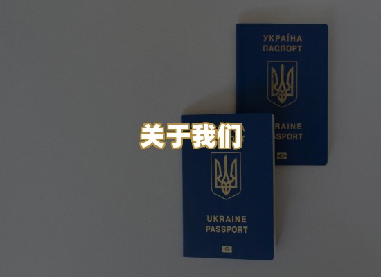 关于我们